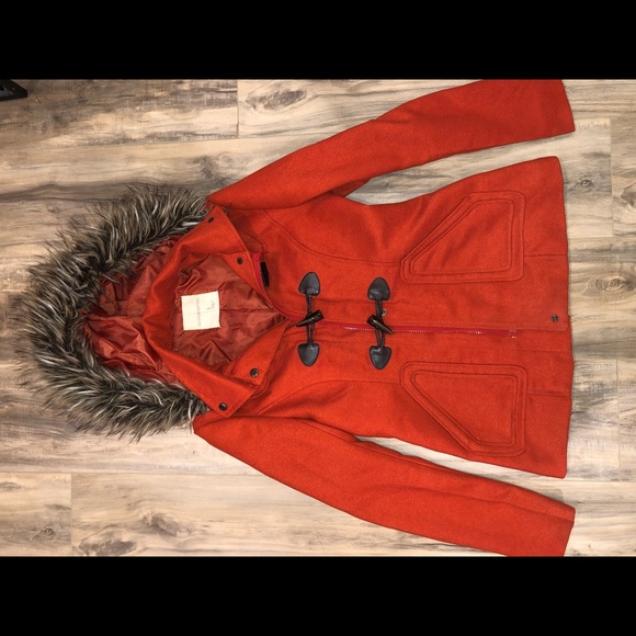 Winter Jacket - Picture 2 of 2